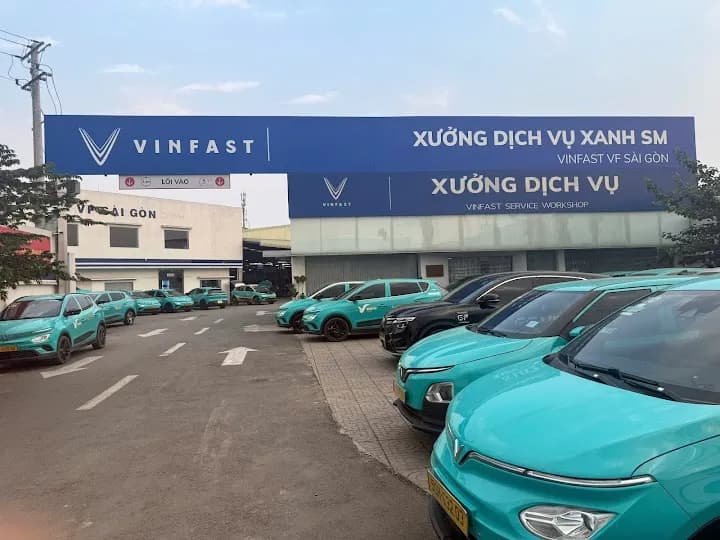 Showroom VF Sài Gòn trong mạng lưới thực tập của NSA