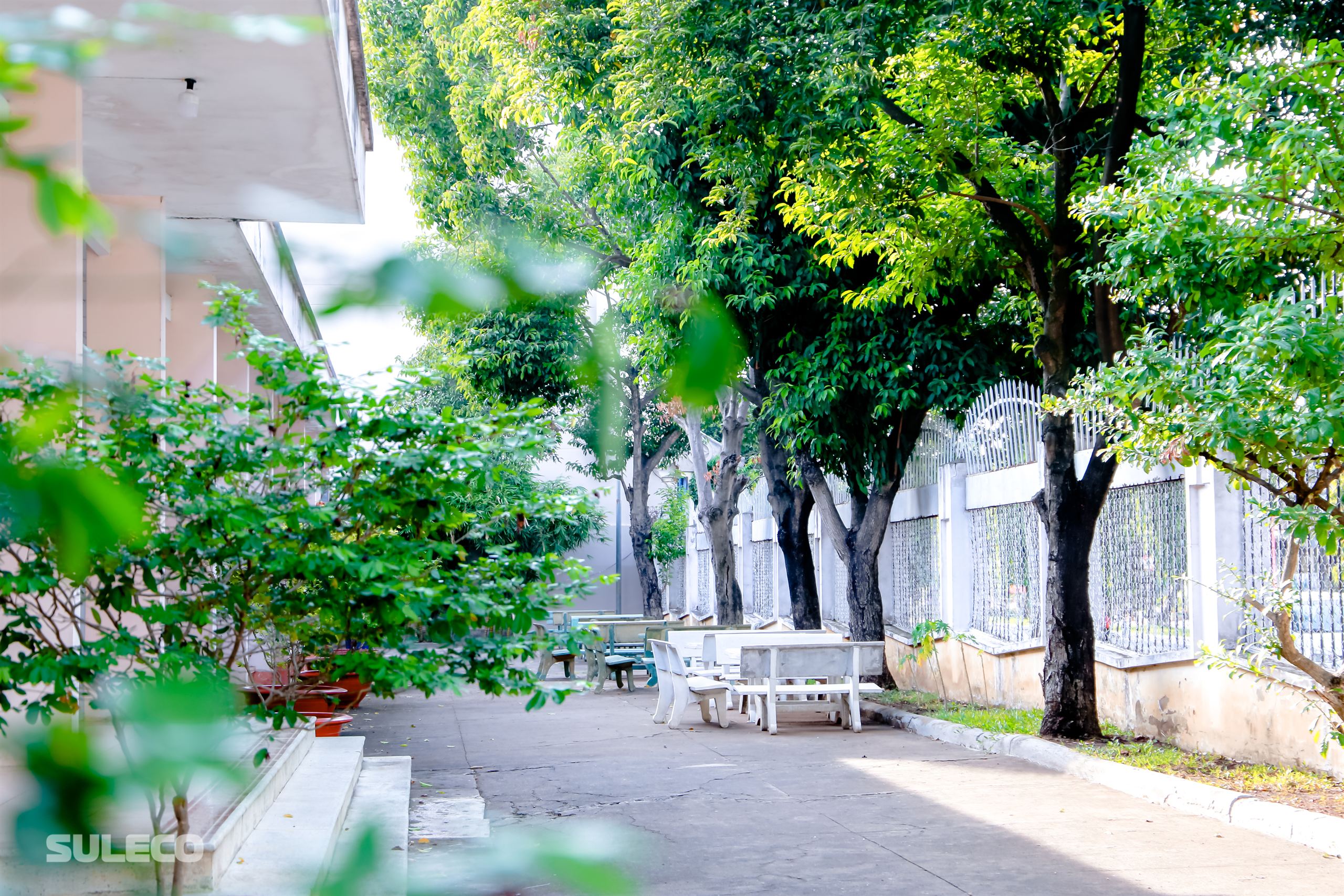 Khuôn viên trường 4