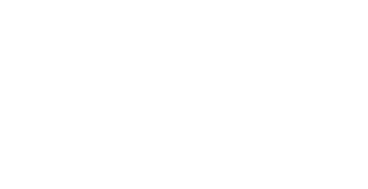 Hyundai TC